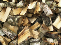 Holz ist ein nachwachsender Rohstoff, der CO2-neutral verbrennt